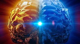 Timeline: Las neurociencias de la conducta, un viaje que no se detiene