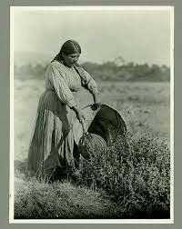 Native American Land Management