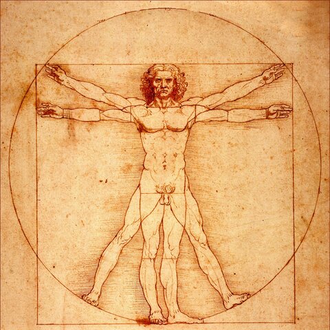 El hombre de Vitruvio. Arte y Ciencia.