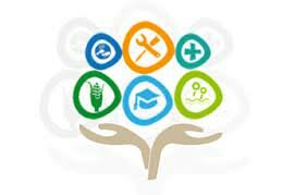 Artículo 1° Constitucional