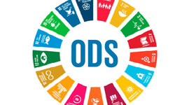 Timeline: Objetivos de Desarrollo Sostenible ONU