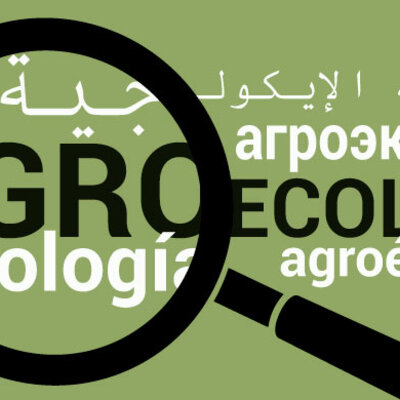 Timeline: Evaluación de la Sustentabilidad y Desempeño Agroecológico