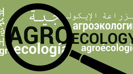 Timeline: Evaluación de la Sustentabilidad y Desempeño Agroecológico