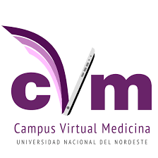 Conociendo el campus virtual