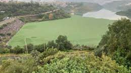 Timeline: PROPUESTA DE CORREDORES ECOGEOTURISTIRSTICOS PARA LA ENSEÑANZA DE LAS CIENCIAS EN LA CIUDAD DE MÉXICO Y ZONAS CONURBADAS. ESTUDIO DE CASO: PRESA MADIN