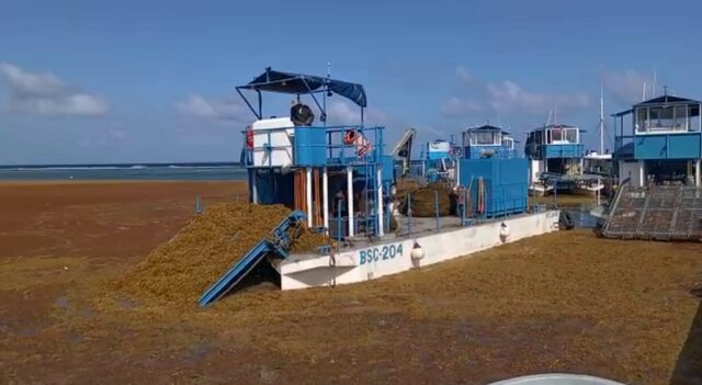 Estrategia Nacional para la Atención al Sargazo