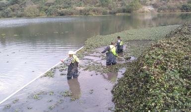 Desechan aguas negras reciben las zonas urbanizadas aguas tratadas