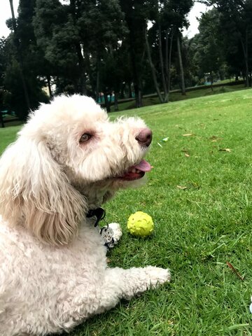 NACIMIENTO DE MI BEBÉ