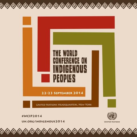 Conferencia Mundial sobre los Pueblos Indígenas