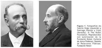 Camilo Golgi