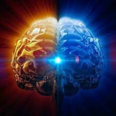 Timeline: las neurociencias de la conducta, un viaje que no se detiene.