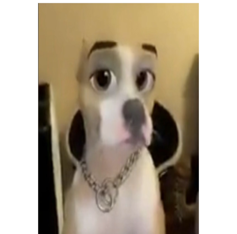 Intolerable Acts (Coercive Acts)