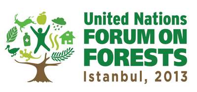 Foro de Bosques de Naciones Unidas 10.