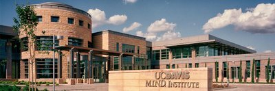 Estudio de  los patrones eléctricos en los cerebros de los niños con TDAH