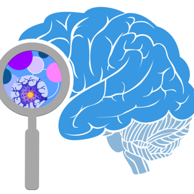 Timeline: NEUROCIENCIAS DEL COMPORTAMIENTO