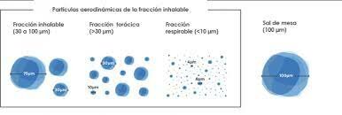 Efectos de las partículas en modelos lagrangianos