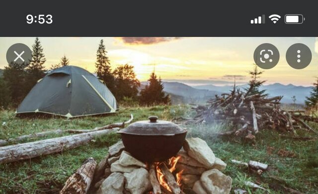 INTELIGENCIA NATURALISTA