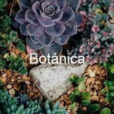 Timeline: Linea del tiempo-Historia de la botánica