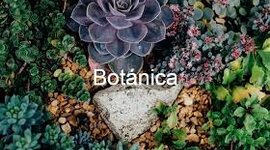 Timeline: Linea del tiempo-Historia de la botánica