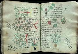 Edad media-Ibn al-baytar (1197-1248)