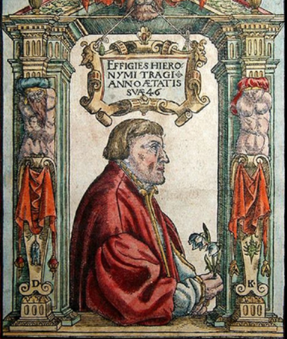 Jerome Bock (1498-1554 d.c)