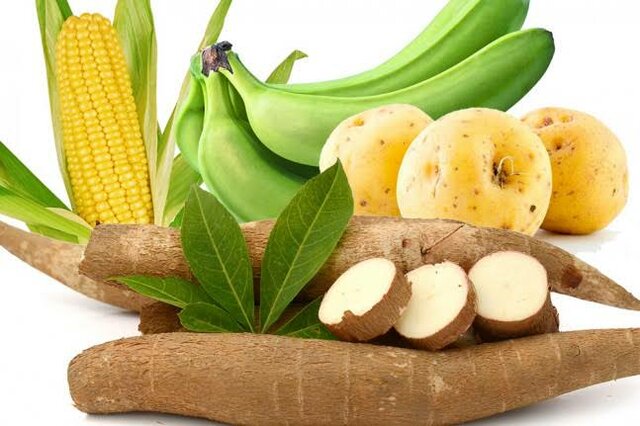 Aportaciones del continente americano