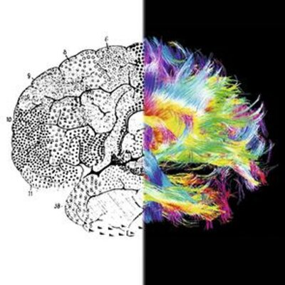 Timeline: HISTORIA DE LA NEUROCIENCIA