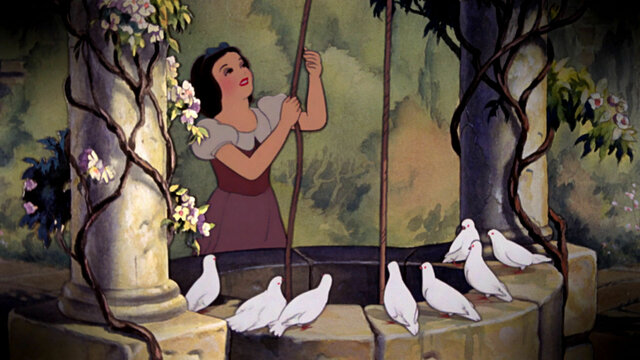 Video Filming Improves