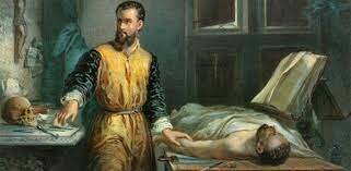 Andrea Vesalio (1514-1564)