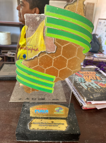 Prêmio Piauí que Trabalha