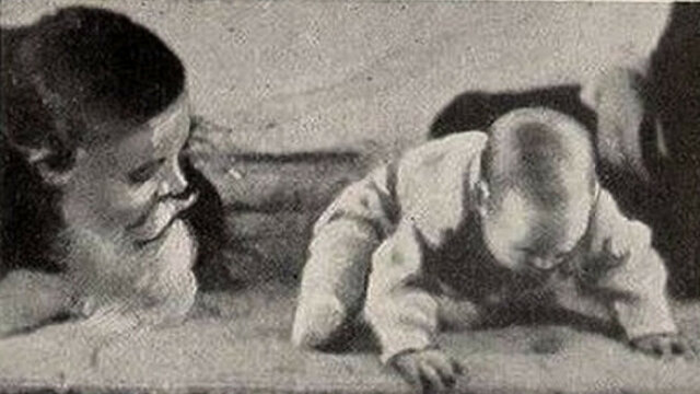 "El pequeño Albert"