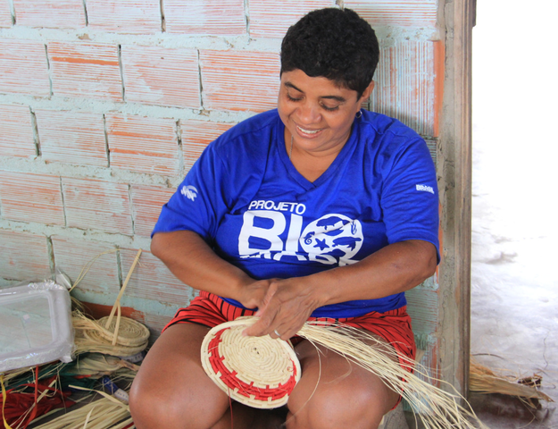 Participação no Projeto BIOMADE (desde 2013 até dias atuais)