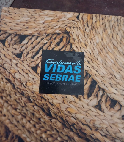 Participação em Atividades do SEBRAE/PI E SESC/PI (ATÉ DIAS ATUAIS)