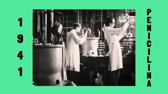 Participación como agente terapéutico.