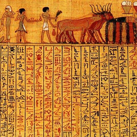 The Egyptians