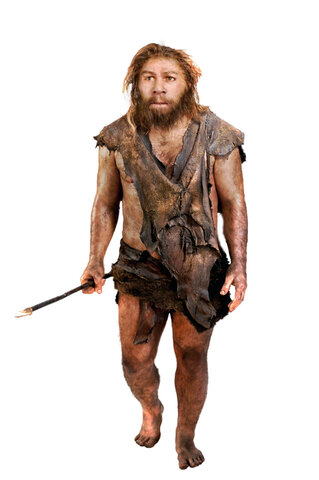 Origen del ser humano