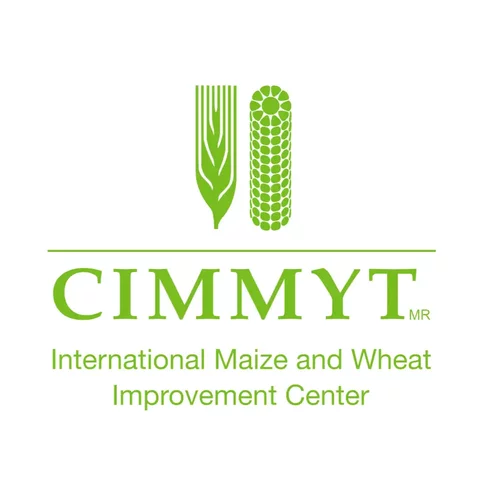 CIMMYT inicia un programa de desarrollo agrícola