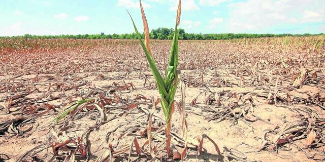 Sin avances en el sector agrícola por la crisis económica