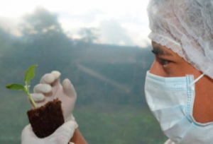 Tecnologías en pro de la inocuidad y calidad de los productos