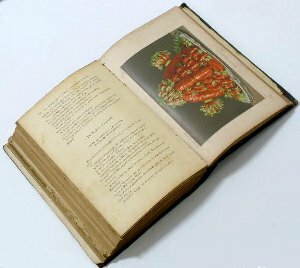 Primer libro de procesado de alimentos