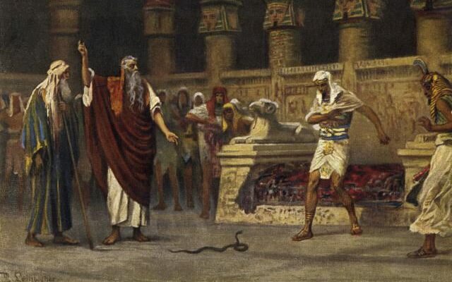 La aparición de plagas a lo largo de la historia