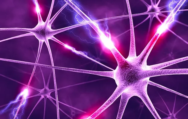 Helmholtz y Galvani: Actividad eléctrica del cerebro