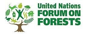Foro de Bosques de Naciones Unidas 10.