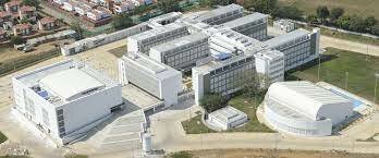 Sección Cali y sus Diferentes Programas