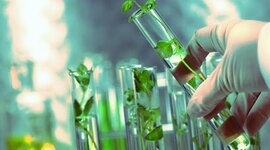 Timeline: Eventos históricos en la biotecnología ambiental.