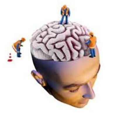 Timeline: Neurociencias de la Conducta