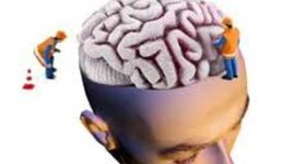 Timeline: Neurociencias de la Conducta