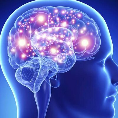 Timeline: ¿De dónde viene y para dónde va el cerebro?