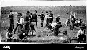 Universidad de Saskatchewan