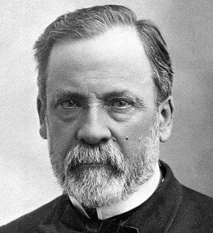 Fermentación de los microorganismos